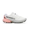 Modorri.shop18f7e66c25 1